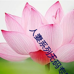 人妻系列無碼專區2023