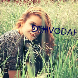 歐洲vodafonewifi14