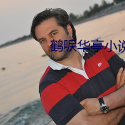 鹤唳华(華)亭(亭)小说(說)