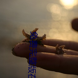 免費完整版在線觀看韓國電