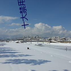 十大禁用黃app軟件無限看