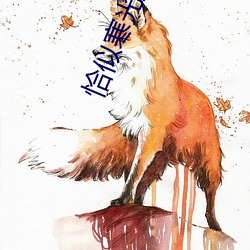 恰似寒光遇骄阳免费阅读小说