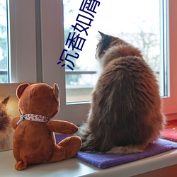 沉香如屑電視劇免費觀看手