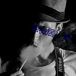 翠微(wēi)居(jū)小说