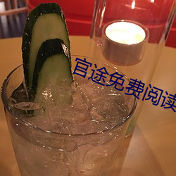 官途免费阅(閱)读(讀)