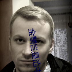 金麟豈是池中物小說