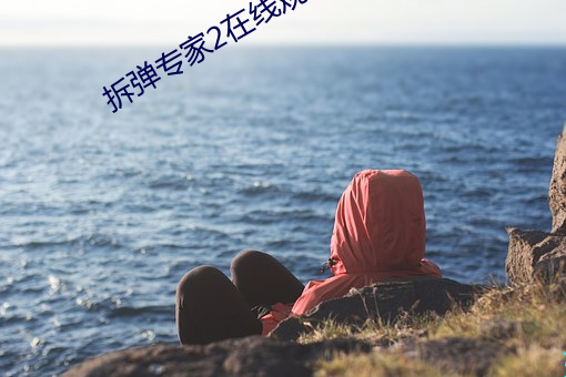 拆弹专家2在线观看完整雅