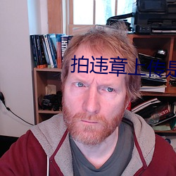 拍(拍)违(違)章上传(傳)是哪个平台赚(賺)钱(錢)