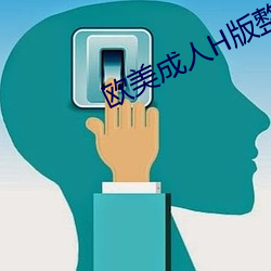 欧美成人h版整片(片)