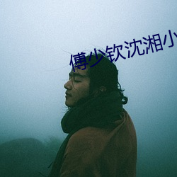 傅少欽沈湘小說全文免費閱讀