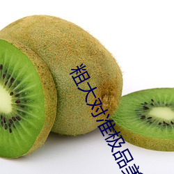 粗大对准极品美妇