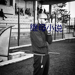 继(繼)母小说