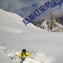 陆渐红安然小说免费阅读