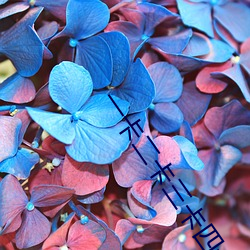 一卡二卡三卡四卡免费