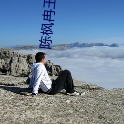 陈枫冉玉雪绝世武魂免费阅读