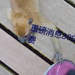 重磅消息8090成人午夜精品无码免费