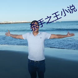 杀手之王小说(shuō)