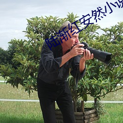 陆渐红安然小说免费阅读