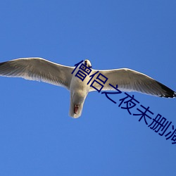 僧侣(侶)之(之)夜(夜)未(未)删(刪)减