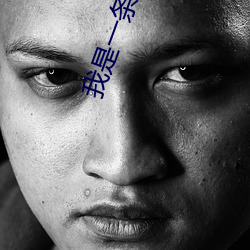 我是(是)一(一)条龙(龍)