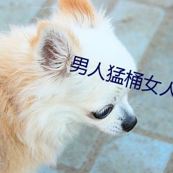 男人猛桶女人下边(biān)30分钟免费视频