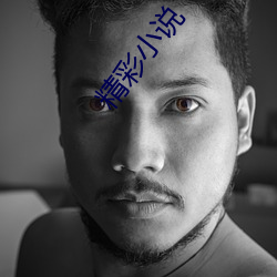 精彩小说