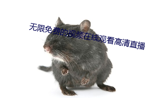 无限免(免)费的视(視)频(頻)在线(線)观(觀)看(看)高清(清)直播
