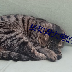 我和黑大佬的365天未删减