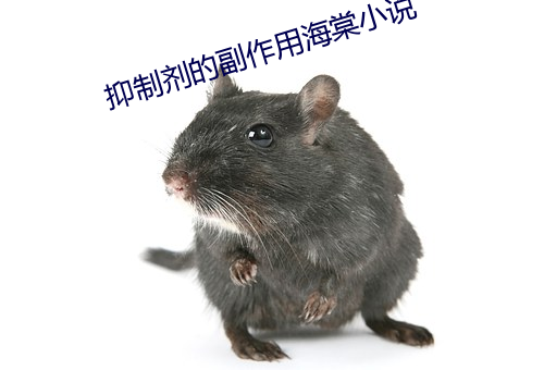抑制劑的副作用海棠小說