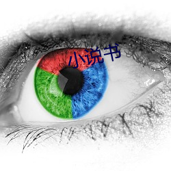 小说书