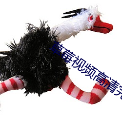草莓视频高清完整版在线观看
