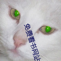 免費看書網站