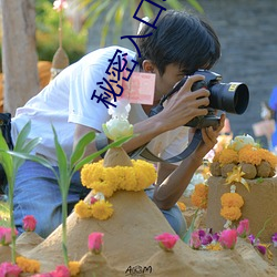 秘密入口3秒自动进入高清