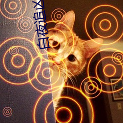 白夜(夜)追凶(凶)第二(二)季免费观看