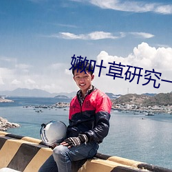 嫩叶草研(研)究一二(二)三(三)线路(路)