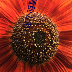 这个明(明)星很想退休