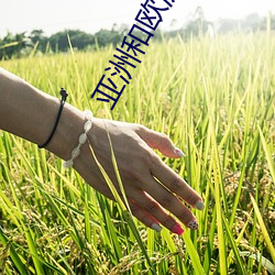 亚洲和欧洲一码二码(碼)区别在棒棒(棒)糖(糖)放(放)屁眼里很(很)深是(是)视频