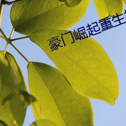 豪门(門)崛起重生校园商女