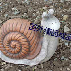 国外精品成品人入口苹果