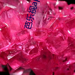 芭乐视app下载旧(jiù)版本