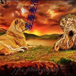 差差差很(hěn)疼30分免(miǎn)费(fèi)打扑克