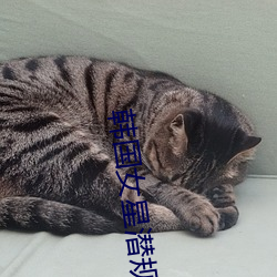 韩(韓)国(國)女星(星)潜(潛)规则