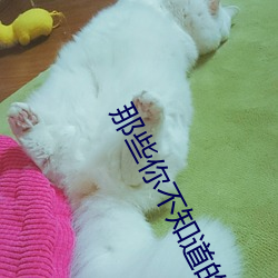 那些你不知道的童话动漫免