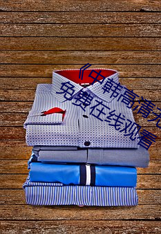 《中韩高清无专码区2021曰》bd国语免费在线观看
