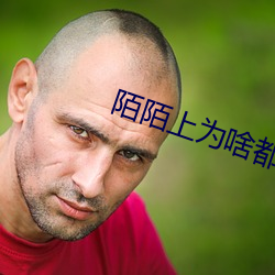 陌(陌)陌(陌)上(上)为(爲)啥都让(讓)加微(微)信