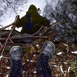 国产(chǎn)