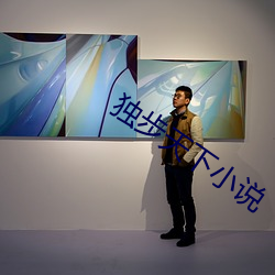 獨步天下小說