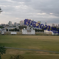 野鸡2021地址1地址2