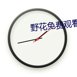 野花免费观看高清视(shì)频(pín)大全