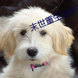 末世重生之少主横行